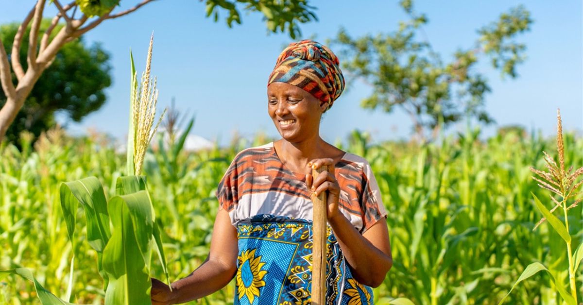 Image by Justdiggit © Milkywire